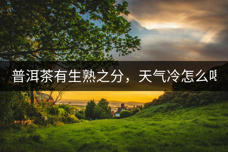 普洱茶有生熟之分，天氣冷怎么喝？