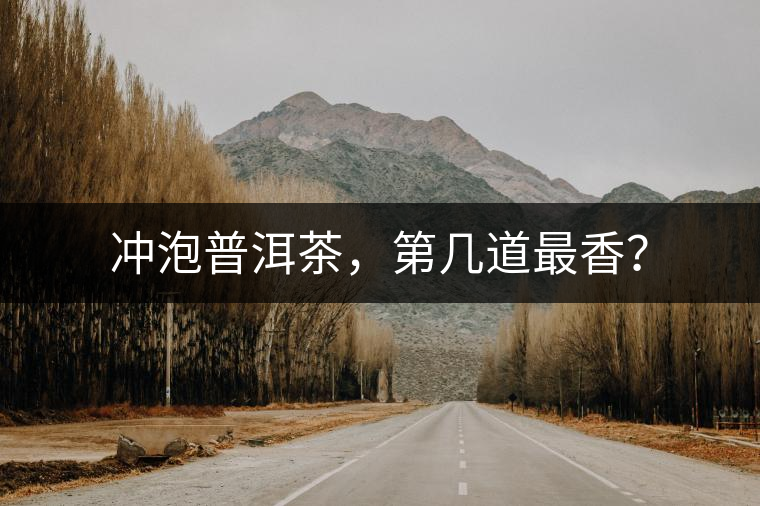 沖泡普洱茶，第幾道最香？