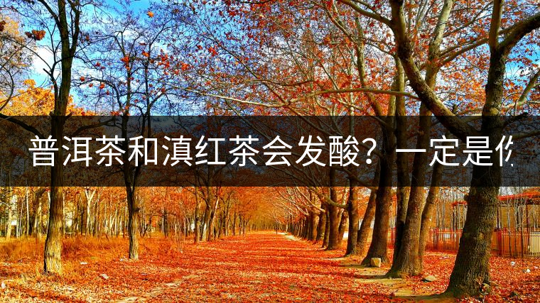 普洱茶和滇紅茶會發(fā)酸？一定是你這么做了！