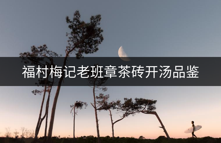 福村梅記老班章茶磚開湯品鑒