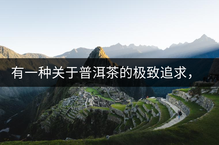 有一種關(guān)于普洱茶的極致追求， 當(dāng)屬于鴻中鴻