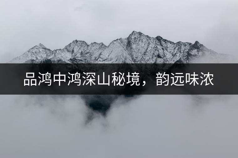 品鴻中鴻深山秘境，韻遠(yuǎn)味濃