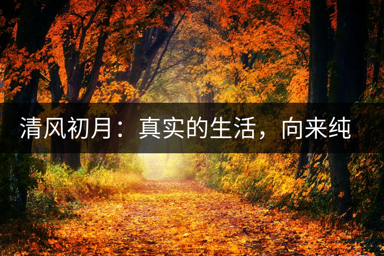 清風(fēng)初月：真實(shí)的生活，向來純簡(jiǎn)