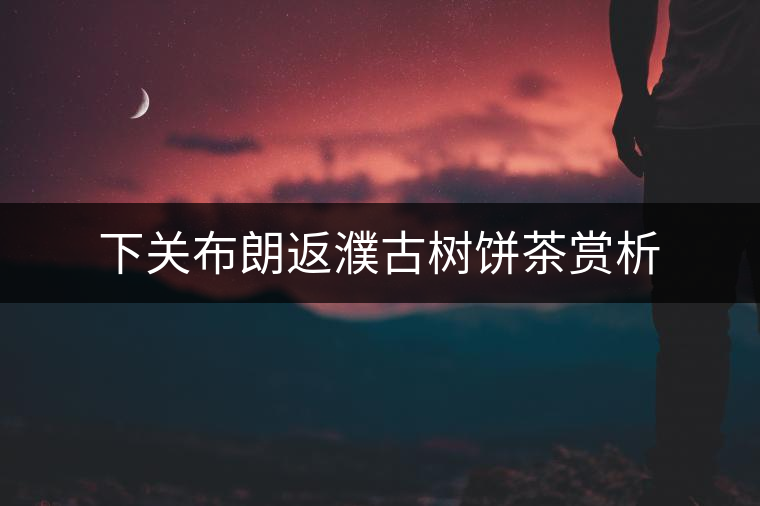 下關布朗返濮古樹餅茶賞析 下關布朗返濮古樹餅茶賞析