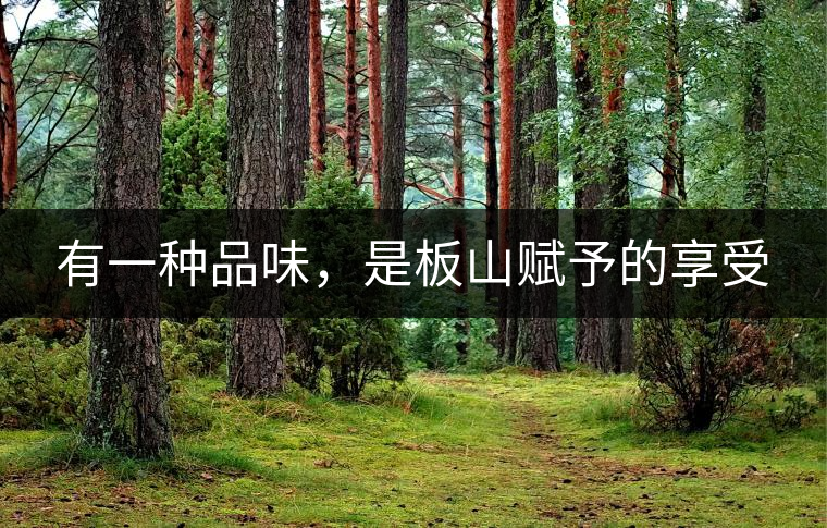 有一種品味，是板山賦予的享受