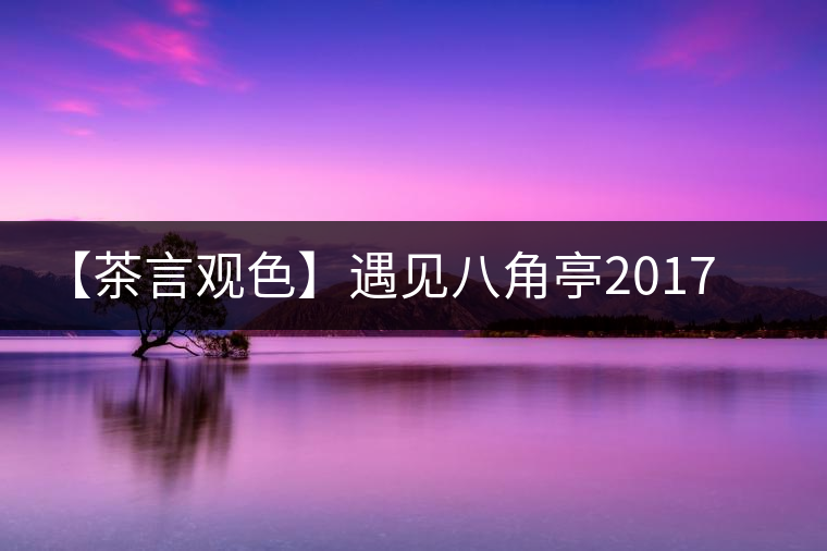 【茶言觀色】遇見(jiàn)八角亭2017年里程碑熟茶