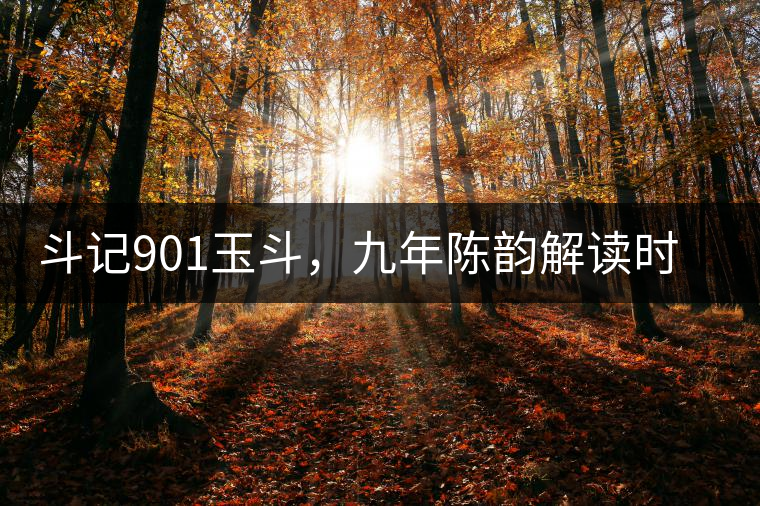 斗記901玉斗，九年陳韻解讀時(shí)間之味