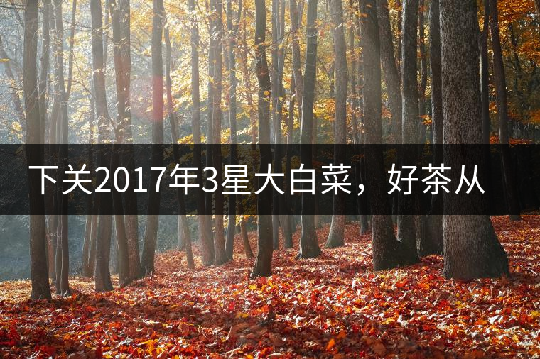 下關(guān)2017年3星大白菜，好茶從未中斷