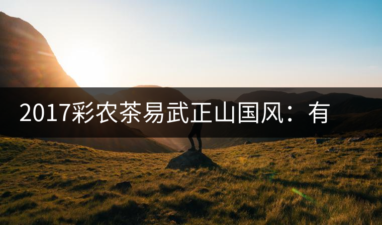 2017彩農(nóng)茶易武正山國風(fēng)：有茶韻，亦有國風(fēng)