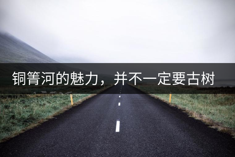 銅箐河的魅力，并不一定要古樹來體現(xiàn)