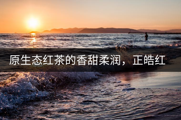 原生態(tài)紅茶的香甜柔潤，正皓紅的魅力無可抵擋！