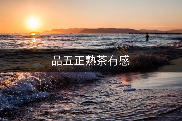 品五正熟茶有感