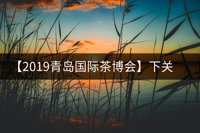 【2019青島國際茶博會】下關(guān)沱茶攜新品C位亮相！