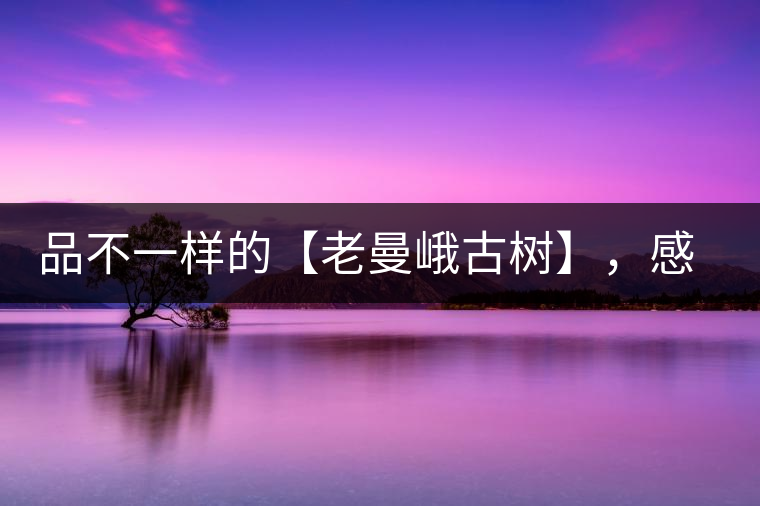 品不一樣的【老曼峨古樹】，感受別樣甘甜與溫婉