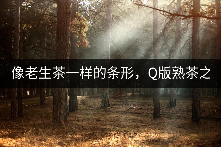 像老生茶一樣的條形，Q版熟茶之【融璞】