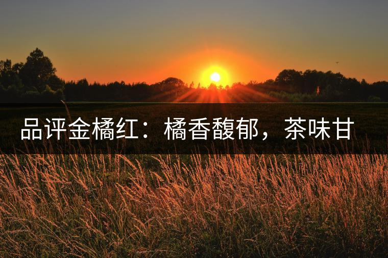 品評金橘紅：橘香馥郁，茶味甘醇，匠心拼配，臻于至善