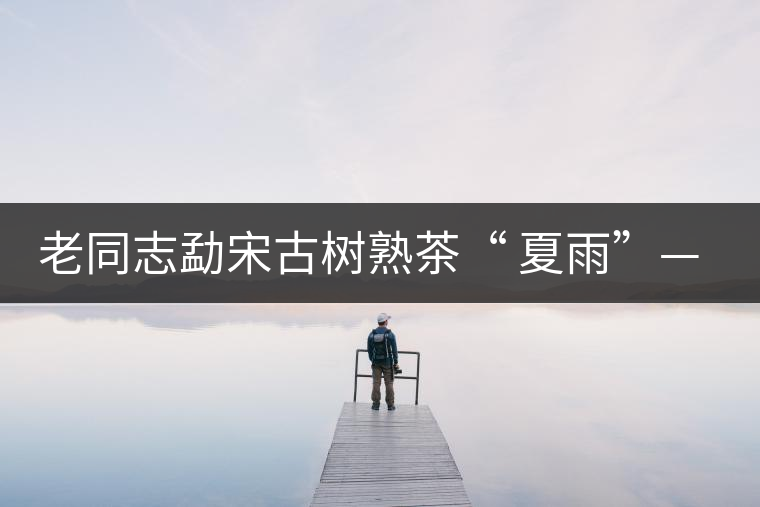 老同志勐宋古樹(shù)熟茶“ 夏雨”— 飲茶伴夏，只為您！