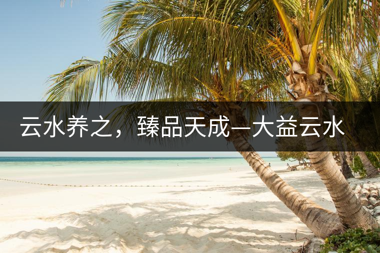 云水養(yǎng)之，臻品天成—大益云水臻開湯