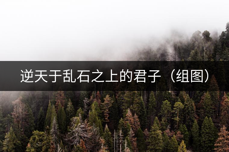 逆天于亂石之上的君子(組圖) 逆天于亂石之上的君子(組圖)