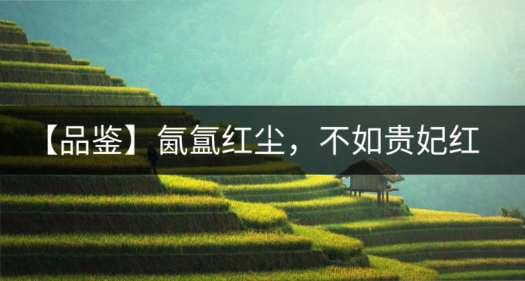 【品鑒】氤氳紅塵，不如貴妃紅一盞