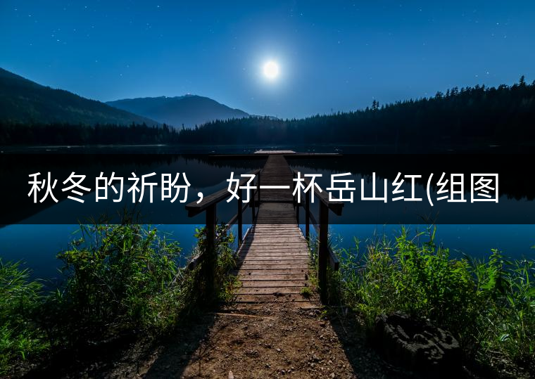 秋冬的祈盼，好一杯岳山紅(組圖)