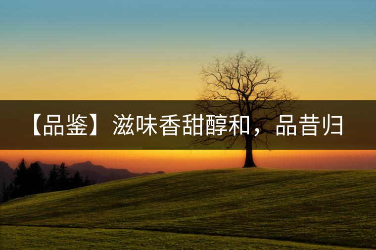 【品鑒】滋味香甜醇和，品昔歸古樹黃片