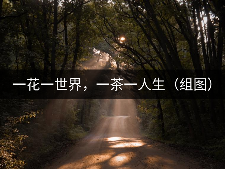 一花一世界，一茶一人生（組圖）