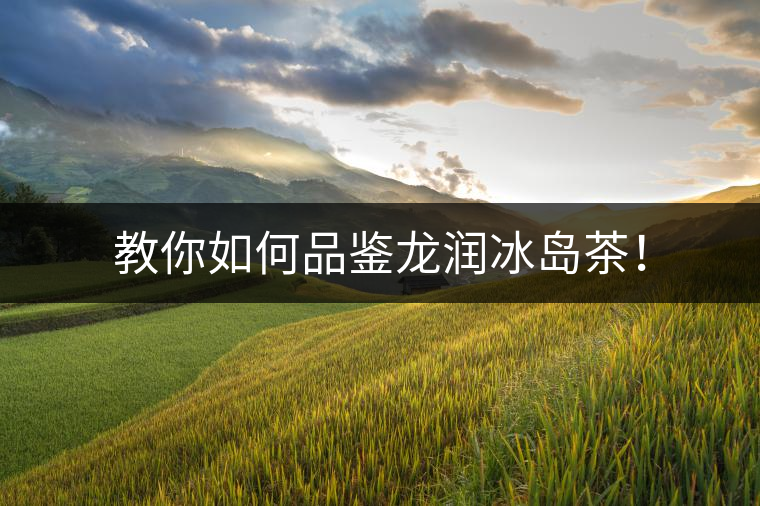 教你如何品鑒龍潤(rùn)冰島茶！
