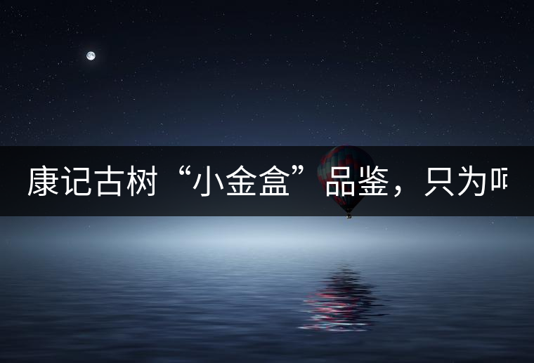 康記古樹(shù)“小金盒”品鑒，只為呵護(hù)您的味蕾！