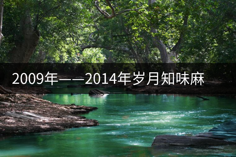 2009年——2014年歲月知味麻黑古樹(shù)茶審評(píng) 2009年——2014年歲月知味麻黑古樹(shù)茶審評(píng)