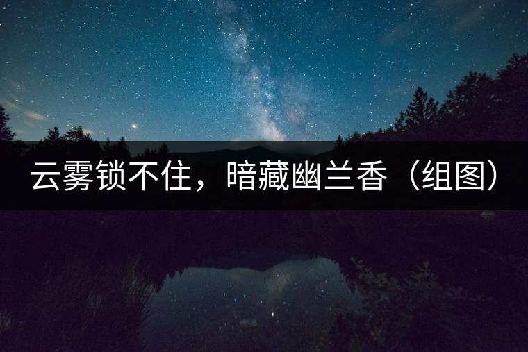 云霧鎖不住，暗藏幽蘭香（組圖）
