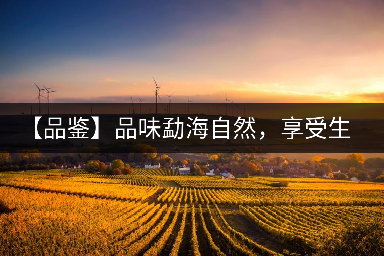 【品鑒】品味勐海自然，享受生活醇香