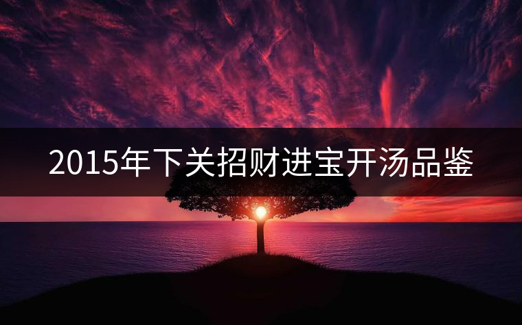 2015年下關(guān)招財(cái)進(jìn)寶開(kāi)湯品鑒