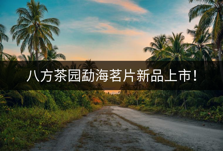 八方茶園勐海茗片新品上市！