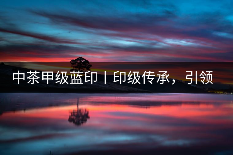 中茶甲級(jí)藍(lán)印丨印級(jí)傳承，引領(lǐng)風(fēng)韻