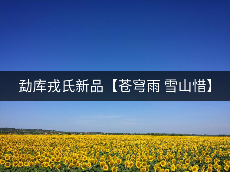 勐庫(kù)戎氏新品【蒼穹雨 雪山惜】 勐庫(kù)戎氏新品【蒼穹雨 雪山惜】