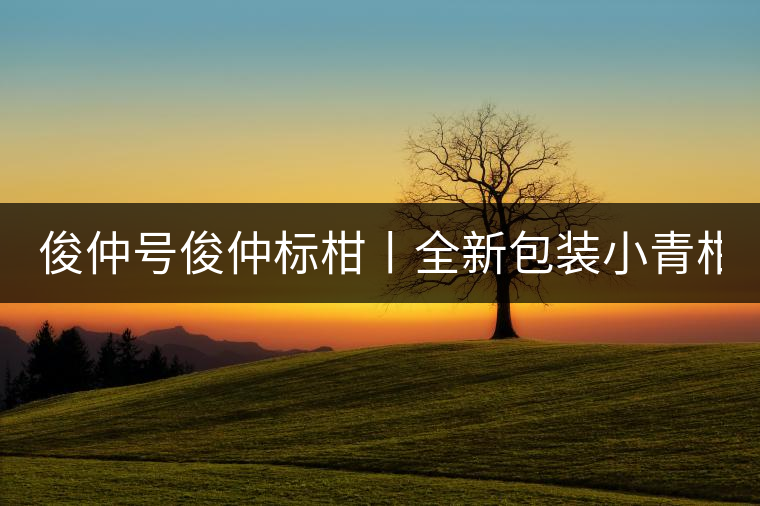 俊仲號俊仲標(biāo)柑丨全新包裝小青柑震撼上市！