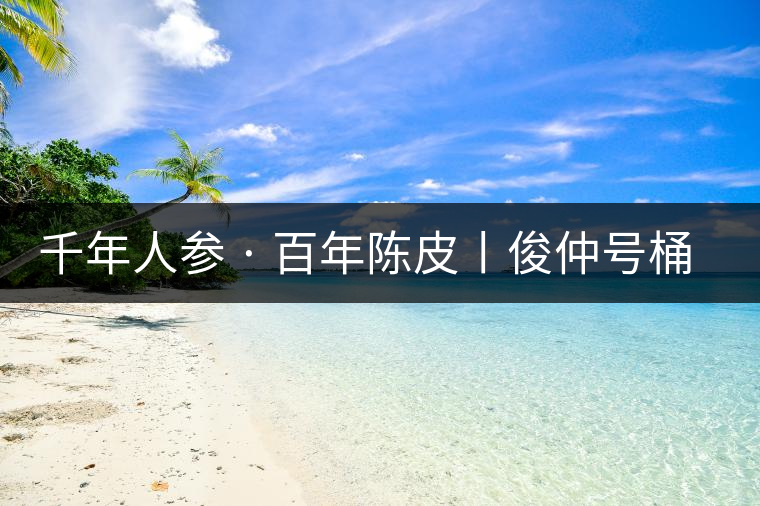 千年人參 · 百年陳皮丨俊仲號桶裝柑普茶豈止于大！