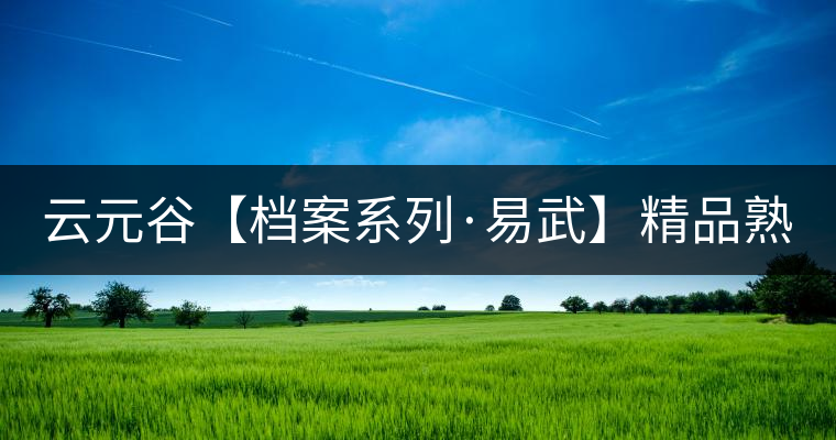 云元谷【檔案系列·易武】精品熟茶，精裝上市！