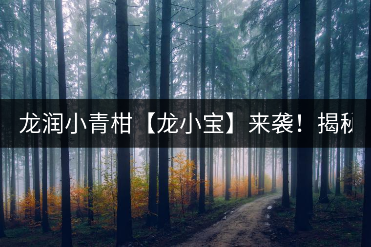 龍潤小青柑【龍小寶】來襲！揭秘它的前半生！