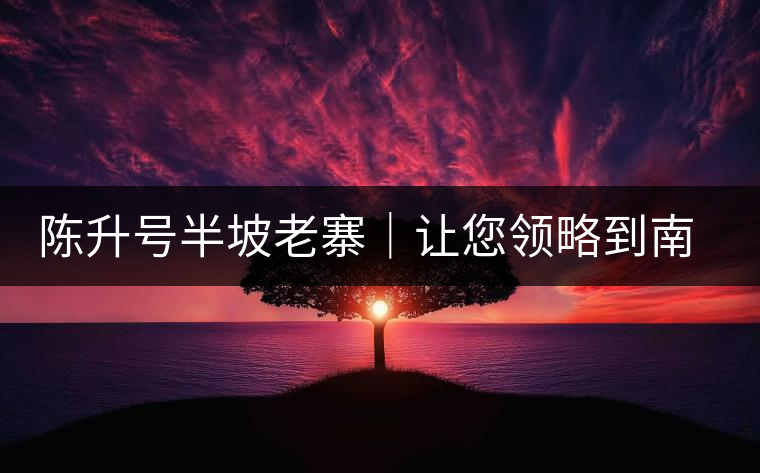 陳升號(hào)半坡老寨｜讓您領(lǐng)略到南糯山大樹茶口感的地道！