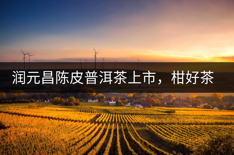 潤(rùn)元昌陳皮普洱茶上市，柑好茶更好，精品普洱茶