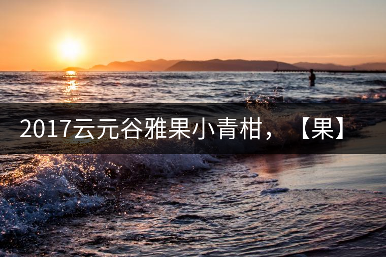 2017云元谷雅果小青柑，【果】真來了