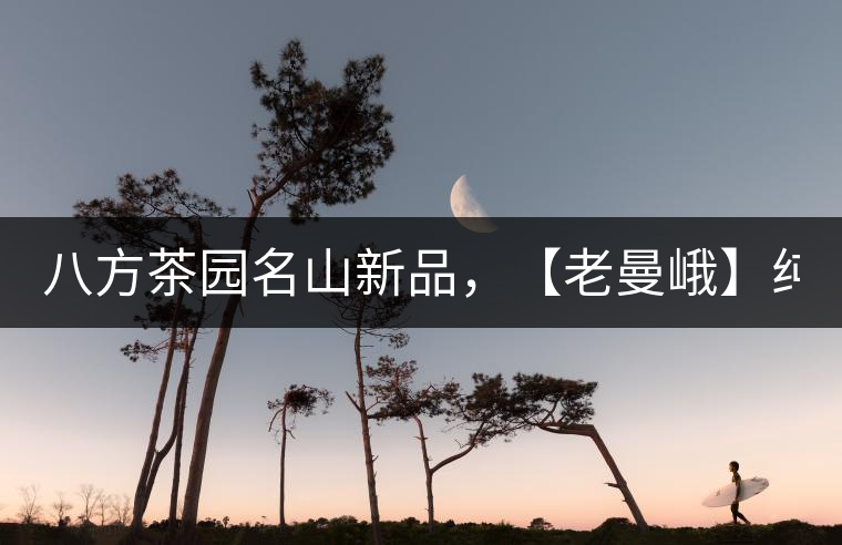 八方茶園名山新品，【老曼峨】純料來襲！