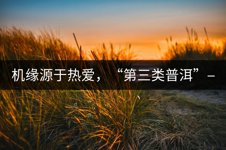 機(jī)緣源于熱愛，“第三類普洱”——“散壓茶TM”的誕生。