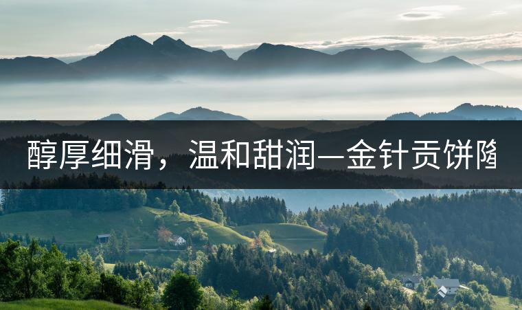 醇厚細(xì)滑，溫和甜潤—金針貢餅隆重上市！