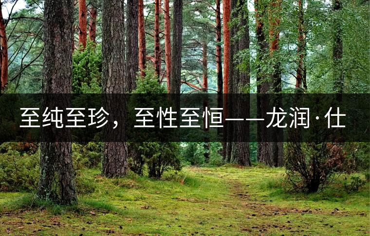 至純至珍，至性至恒——龍潤(rùn)·仕通茶新上市！