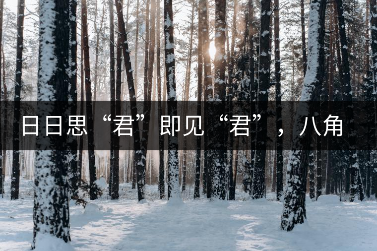 日日思“君”即見(jiàn)“君”，八角亭竹筒茶君子即將上市