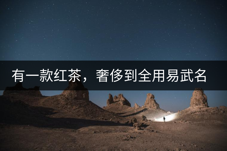 有一款紅茶，奢侈到全用易武名寨古樹茶發(fā)酵！