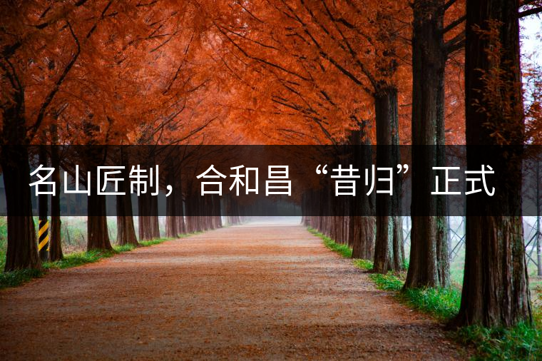 名山匠制，合和昌“昔歸”正式上市